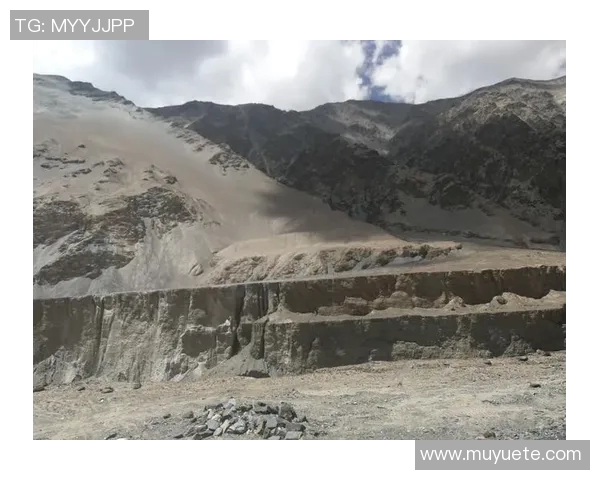 深度对话：陈芳在CSGO世界中的成长与挑战之路