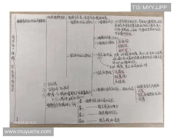 天主青年与戈多伊的对决:信仰与理想的碰撞与启示 天主青年与戈多伊的对决:信仰与理想的碰撞与启示