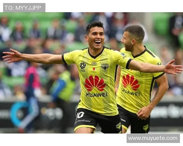 悉尼与惠灵顿凤凰对决前瞻及比分预测分析，谁将赢得胜利