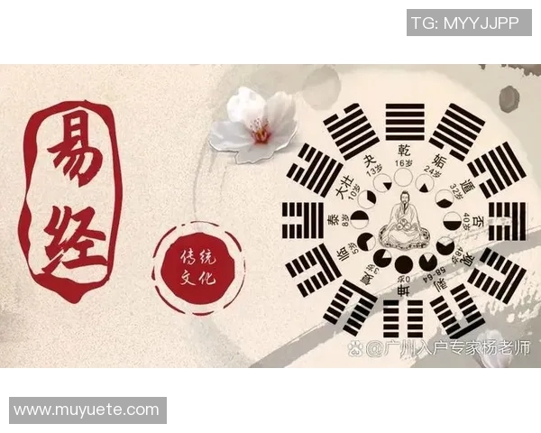 代怀博的崛起与挑战：探讨其在现代社会中的影响与意义