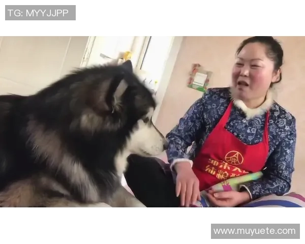 南墨尔本与阿拉门激战正酣谁能在这场对决中笑到最后